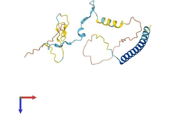 MBD3L1 Protein (AA 1-186) (His tag)