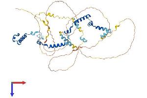 PHACTR3 Protein (AA 1-559) (His tag)