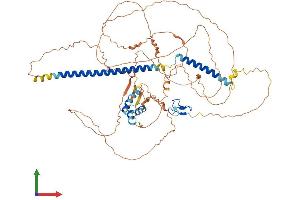Protein Structure (PS) image for TGF-beta Activated Kinase 1/MAP3K7 Binding Protein 2 (TAB2) (AA 1-693) protein (His tag) (ABIN7544109)