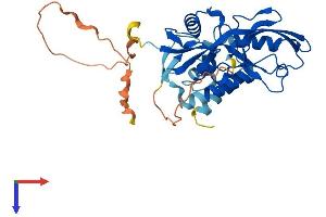 GIPC1 Protein (AA 1-333) (His tag)