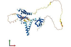Protein Structure (PS) image for Src Kinase Associated Phosphoprotein 2 (SKAP2) (AA 1-359) protein (His tag) (ABIN7546029)
