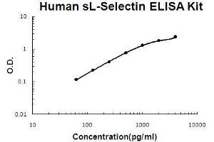 Human sL-Selectin PicoKine ELISA Kit standard curve (L-Selectin ELISA Kit)
