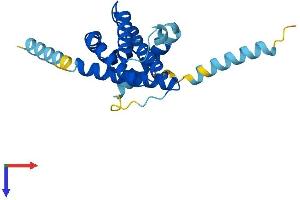 BOK Protein (AA 1-212) (His tag)