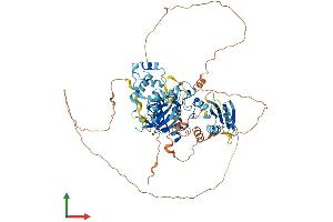 Protein Structure (PS) image for BR serine/threonine Kinase 2 (BRSK2) (AA 1-735) protein (His tag) (ABIN7564016)