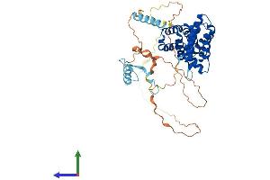 Protein Structure (PS) image for Poly(A) Binding Protein Interacting Protein 1 (PAIP1) (AA 1-479) protein (His tag) (ABIN7554889)