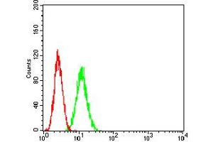 Flow cytometric analysis of HeLa cells using ADAR mouse mAb (green) and negative control (red). (ADAR Antikörper  (AA 1085-1223))