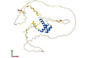Protein Structure (PS) image for Homeobox D9 (HOXD9) (AA 1-339) protein (His tag) (ABIN7563047)