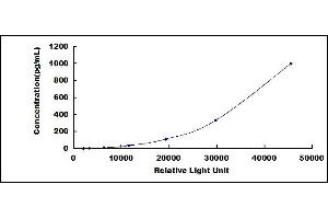 ELISA image for Tumor Necrosis Factor alpha (TNF alpha) CLIA Kit (ABIN491827)