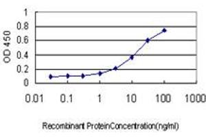 Detection limit for recombinant GST tagged INSRR is approximately 0. (INSRR Antikörper  (AA 651-760))