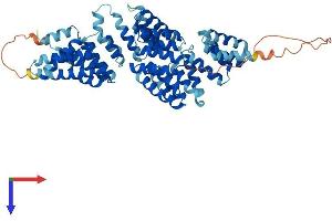 ANAPC7 Protein (AA 1-565) (His tag)