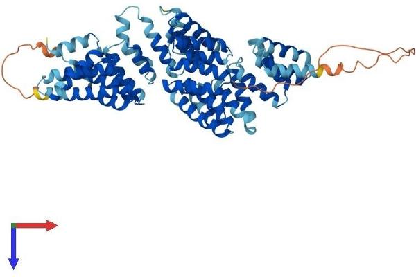 ANAPC7 Protein (AA 1-565) (His tag)