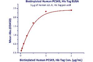 Binding Studies (Bind) image for Proprotein Convertase Subtilisin/kexin Type 9 (PCSK9) (AA 31-692) (Active) protein (His tag,AVI tag,Biotin) (ABIN2444171)