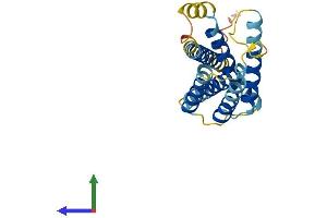 Protein Structure (PS) image for Insulin Induced Gene 2 (INSIG2) (AA 1-225) protein (His tag) (ABIN7548483)