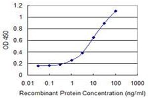 Detection limit for recombinant GST tagged NAE1 is 0. (NAE1 Antikörper  (AA 1-534))