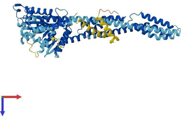 GBP7 Protein (AA 1-638) (His tag)