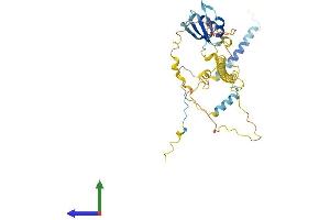 Protein Structure (PS) image for RD RNA Binding Protein (RDBP) (AA 1-380) protein (His tag) (ABIN7549677)