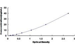 Typical standard curve (GADD45G ELISA Kit)