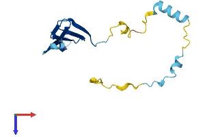 TCAP Protein (AA 1-167) (His tag)