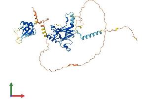 Protein Structure (PS) image for Interferon Regulatory Factor 5 (IRF5) (AA 1-497) protein (His tag) (ABIN7556477)