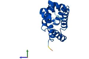 Protein Structure (PS) image for Neuroglobin (NGB) (AA 1-151) protein (His tag) (ABIN7549852)