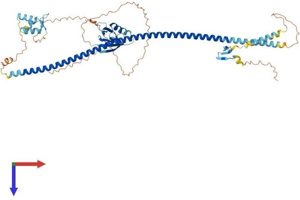 STXBP4 Protein (AA 1-557) (His tag)