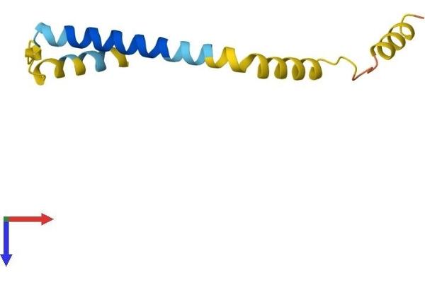 DEXI Protein (AA 1-95) (His tag)