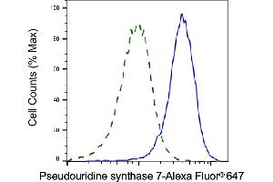 Validation of Pseudouridine synthase 7 knockdown using flow cytometry. (PUS7 Antikörper)