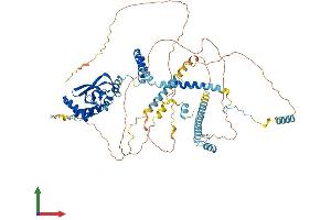 Protein Structure (PS) image for RNA polymerase-associated protein RTF1 homolog (RTF1) (AA 1-715) protein (His tag) (ABIN7561946)