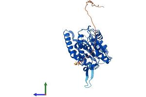 Protein Structure (PS) image for Methylenetetrahydrofolate Dehydrogenase (NADP+ Dependent) 2-Like (MTHFD2L) (AA 1-347) protein (His tag) (ABIN7549550)