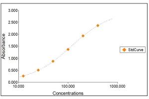 Standard Curve Graph (Ferritin ELISA Kit)