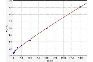 Chemokine (C-C Motif) Ligand 12 (Ccl12) ELISA Kit