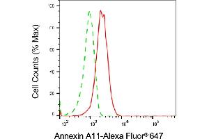 Flow cytometric analysis of Annexin A11 expression in HepG2 cells using Annexin A11 antibody (ABIN7797616), 1:2,000).