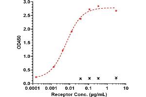 Immobilized Ma TREM2 His at 2 μg/mL can bind Anti-TREM2 Reference Antibody (Py314), EC50=0. (Rekombinanter TREM2 Antikörper)