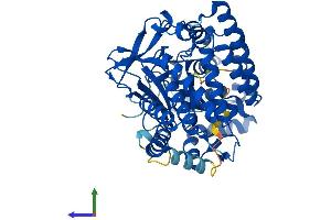 Protein Structure (PS) image for SET and MYND Domain Containing 1 (SMYD1) (AA 1-490) protein (His tag) (ABIN7546249)