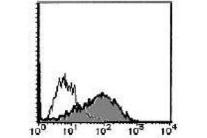 Flow Cytometry (FACS) image for anti-Interleukin 1 Receptor-Like 1 (IL1RL1) antibody (FITC) (ABIN2853578) (IL1RL1 Antikörper  (FITC))