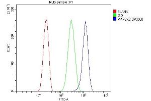 Flow Cytometry analysis of PC-3 cells using anti-MEK2/MAP2K2 antibody (ABIN7599357). (MEK2 Antikörper  (AA 1-400))