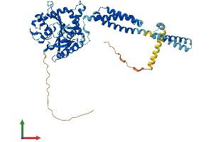 Protein Structure (PS) image for Atlastin GTPase 1 (ATL1) (AA 1-558) protein (His tag) (ABIN7558613)