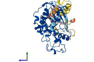 Protein Structure (PS) image for Cyclin-Dependent Kinase 2 (CDK2) (AA 1-346) protein (His tag) (ABIN7563545)