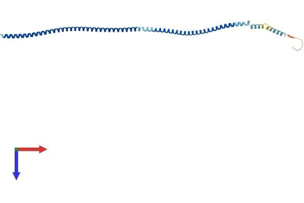 C10ORF96 Protein (AA 1-267) (His tag)