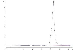 Size-exclusion chromatography-High Pressure Liquid Chromatography (SEC-HPLC) image for Receptor Tyrosine Kinase-Like Orphan Receptor 1 (ROR1) (AA 308-395) protein (His tag) (ABIN7275528)