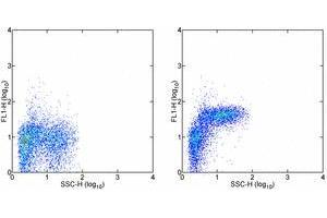 Staining of C57Bl/6 bone marrow cells with 0. (ITGA5 Antikörper)