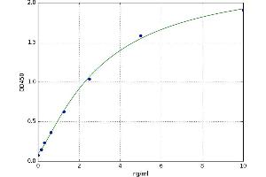 Mechanistic Target of Rapamycin (serine/threonine Kinase) (mTOR) ELISA Kit