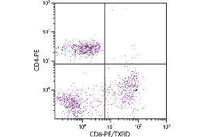 Human peripheral blood lymphocytes were stained with Mouse Anti-Human CD8-PE/TXRD. (CD8 Antikörper  (PE,Texas Red (TR)))