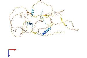 GPBP1L1 Protein (AA 1-473) (His tag)