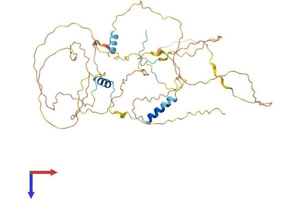 GPBP1L1 Protein (AA 1-473) (His tag)