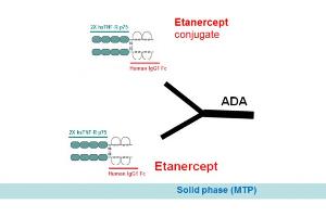 Image no. 2 for Etanercept Antibody ELISA Kit (ABIN2862659) (Etanercept Antibody ELISA Kit)