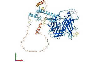 Protein Structure (PS) image for F-Box Protein 15 (FBXO15) (AA 1-510) protein (His tag) (ABIN7547694)