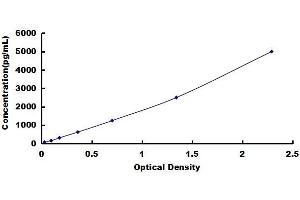Typical standard curve