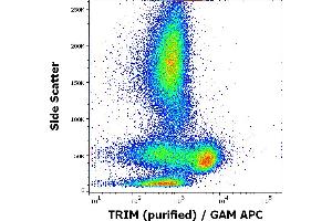 Flow cytometry intracellular staining pattern of human peripheral whole blood using anti-TRIM (TRIM-04) purified antibody (concentration in sample 1 μg/mL, GAM APC). (TRIM Antikörper  (Intracellular))