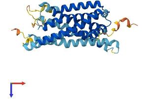 GPR31 Protein (AA 1-319) (His tag)